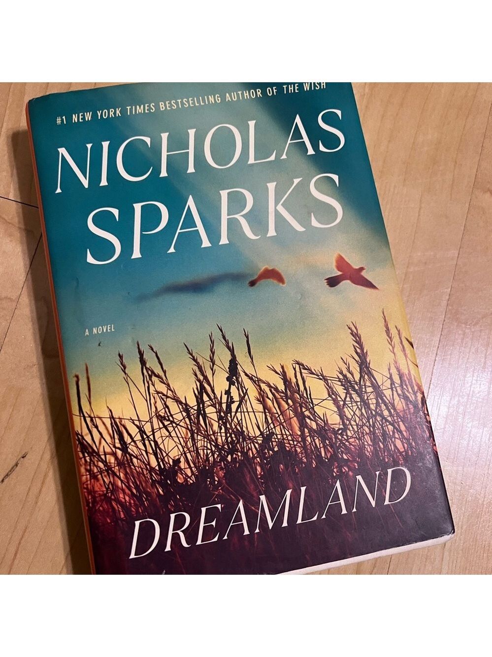 Dreamland by Nicholas Sparks Hardcover